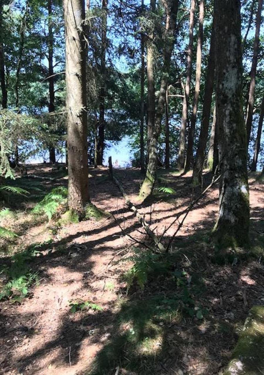 Morvan La Pastourelle Quarré-les-Tombes Zewnętrze zdjęcie