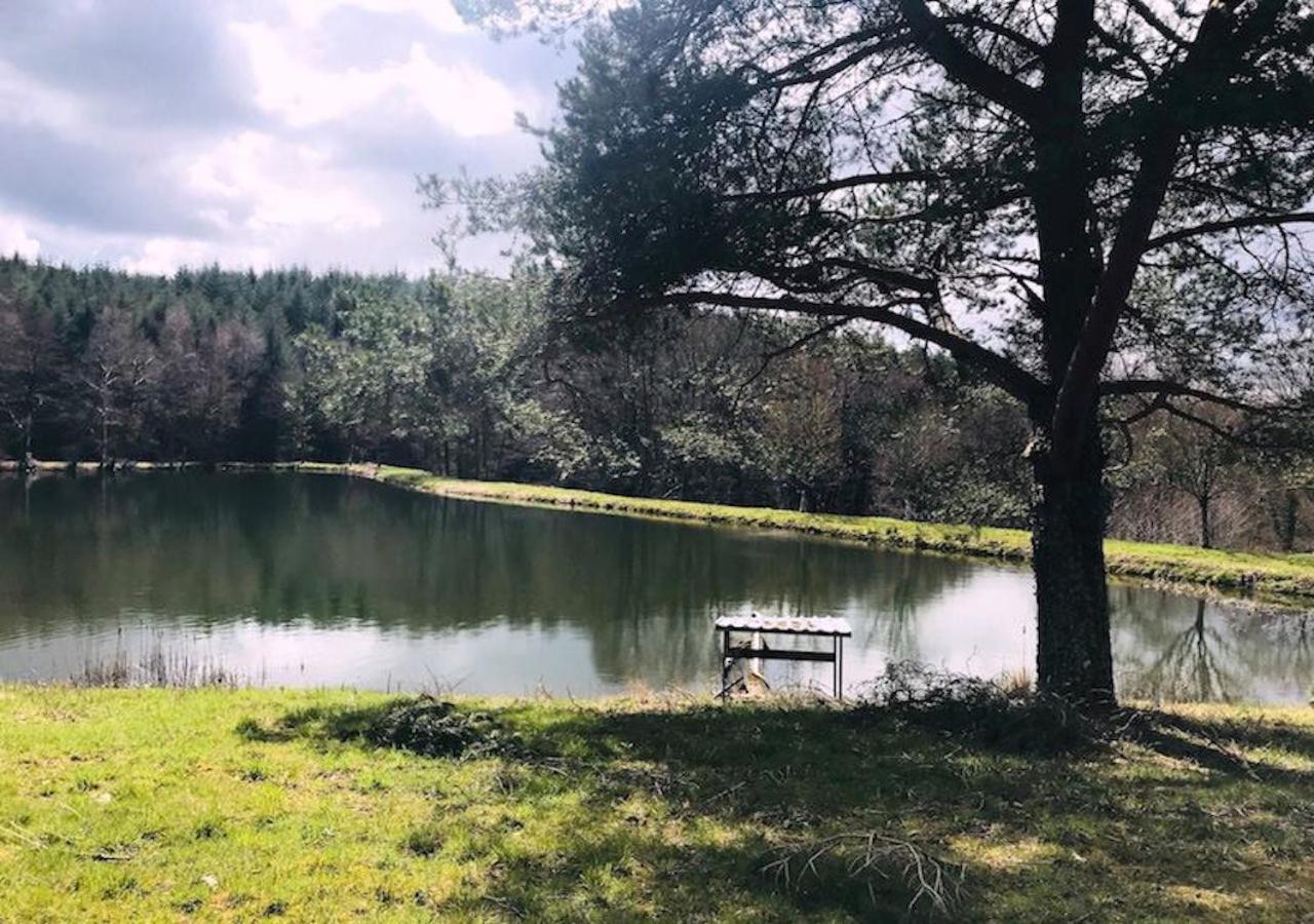 Morvan La Pastourelle Quarré-les-Tombes Zewnętrze zdjęcie